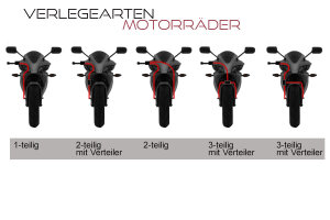 Stahlflex Bremsleitung f&uuml;r Aprilia Pegaso 650 Trail Vorne+Hinten (05-09) [VD]